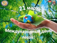 Международный день леса